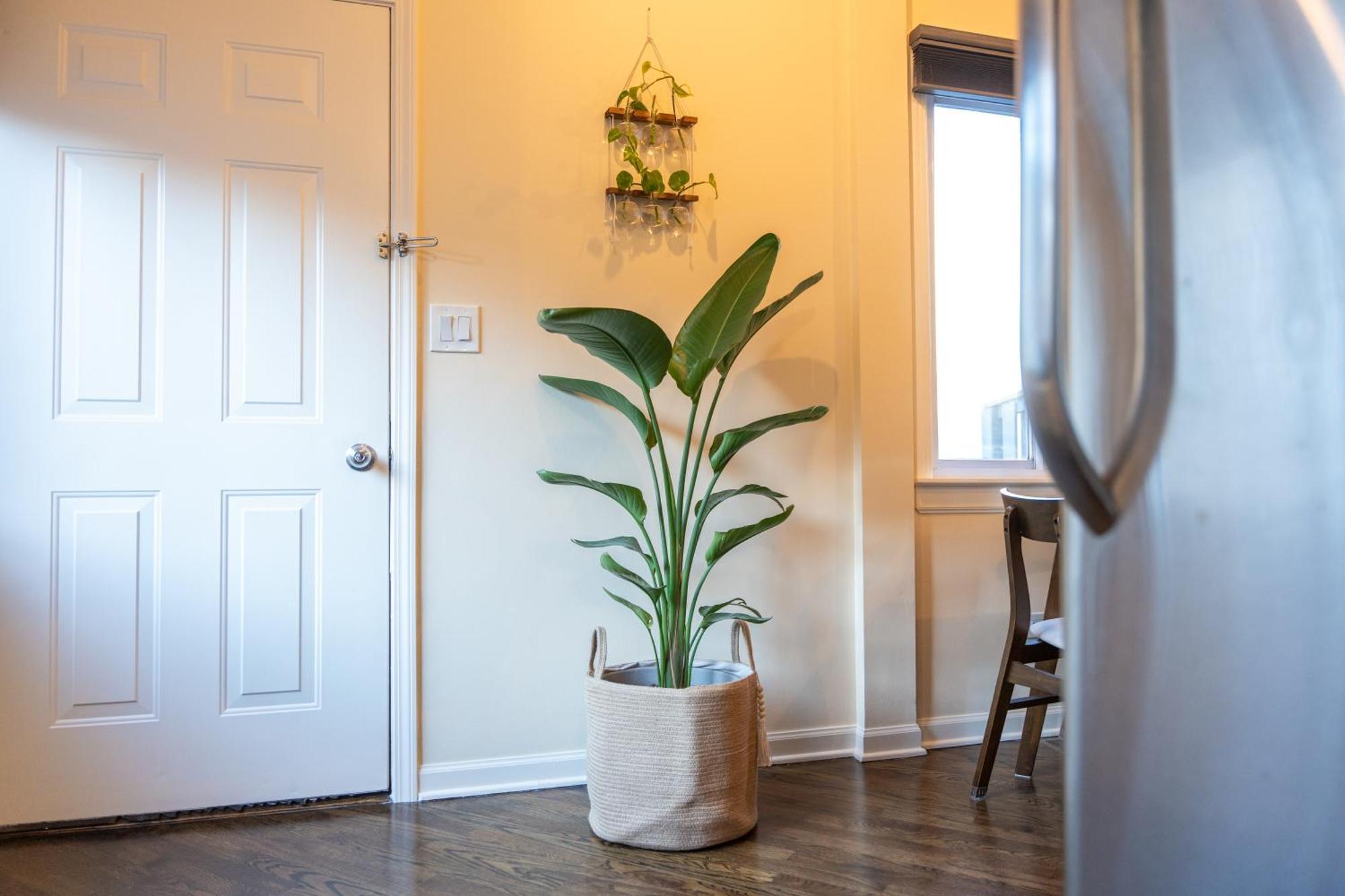 Bucktown Private Condo Σικάγο Εξωτερικό φωτογραφία